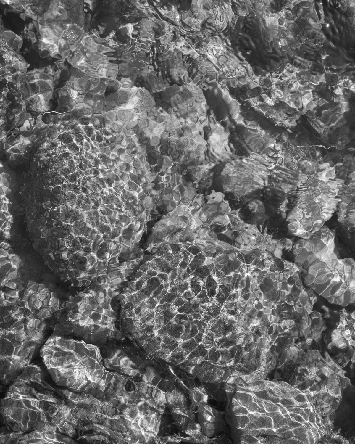 CAIRN 参考写真｜水面と石｜波紋と光のゆらぎ（モノクロ）