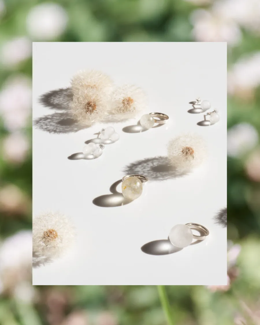 DANDELION & BLOWBALL