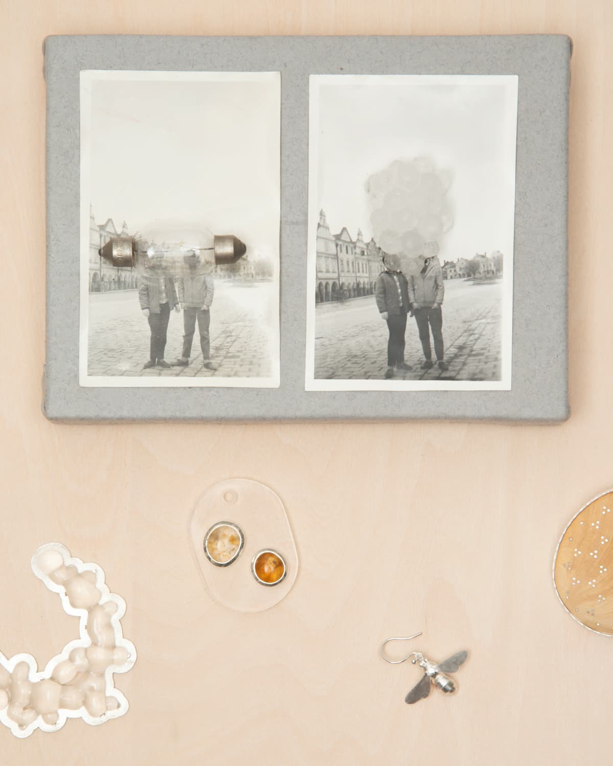 Where Do Honey Bees Go?