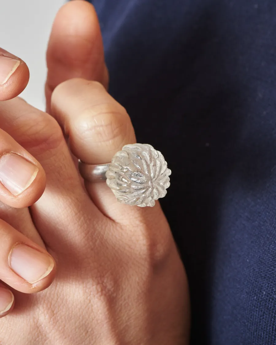 Gleichenia at &eacute;sconi