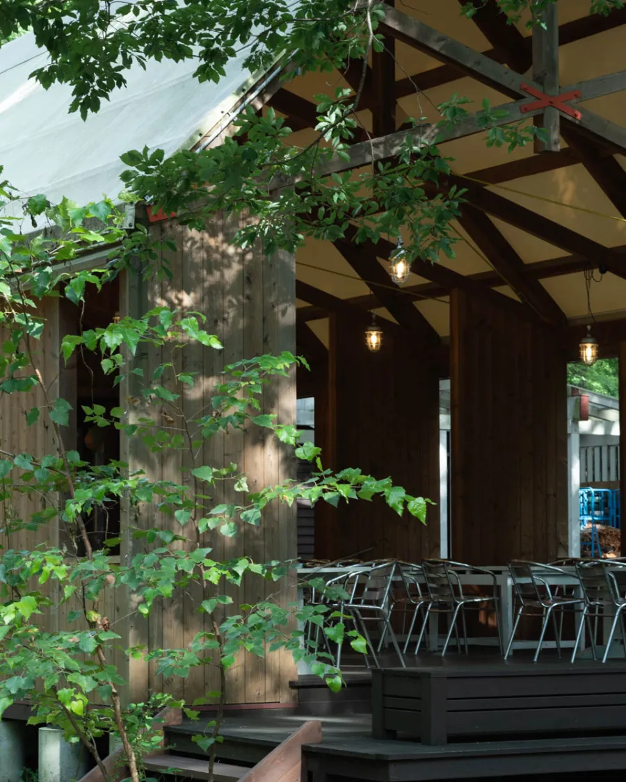 Where Do Honey Bees Go? At LUOMU