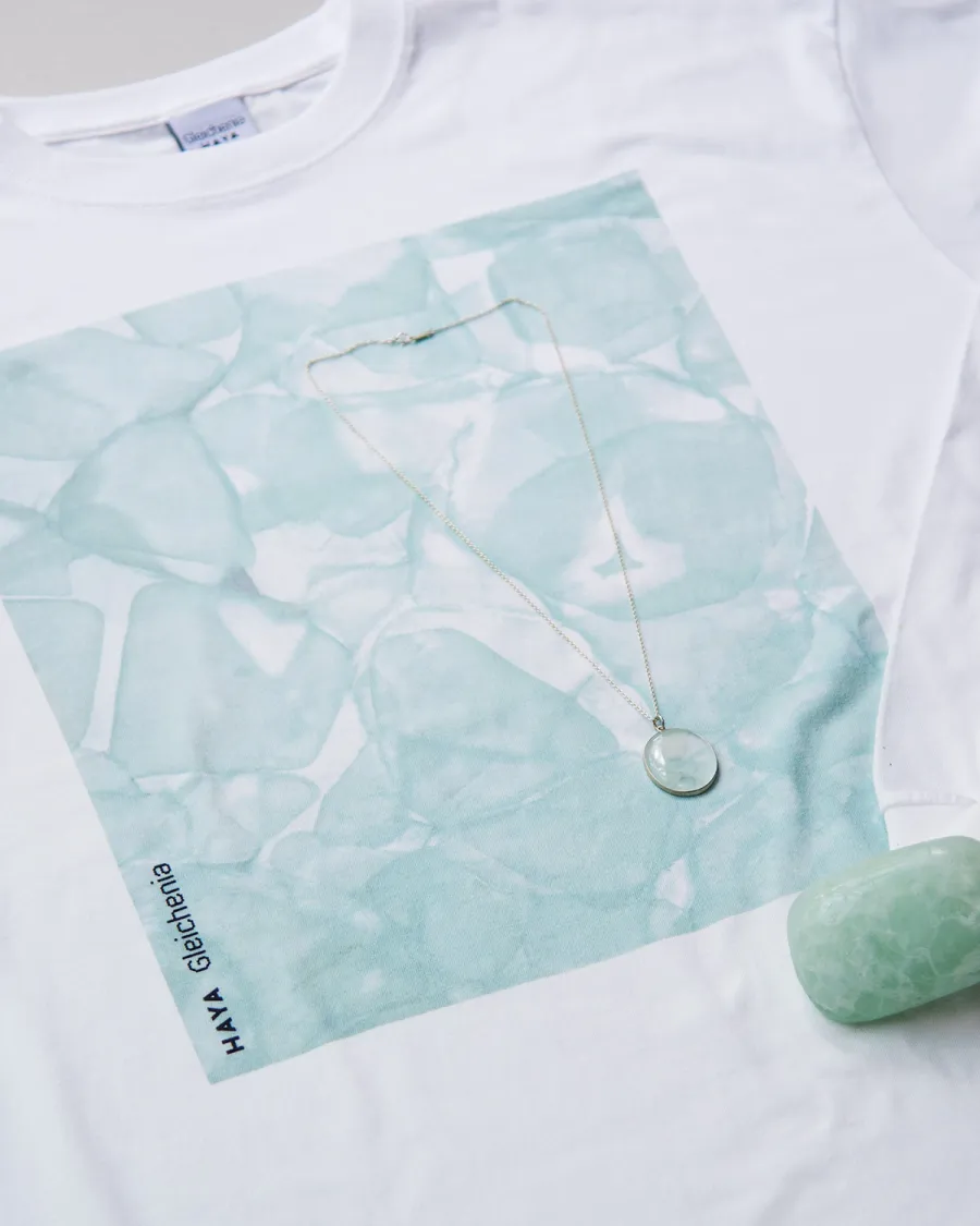 HAYA with Gleichenia