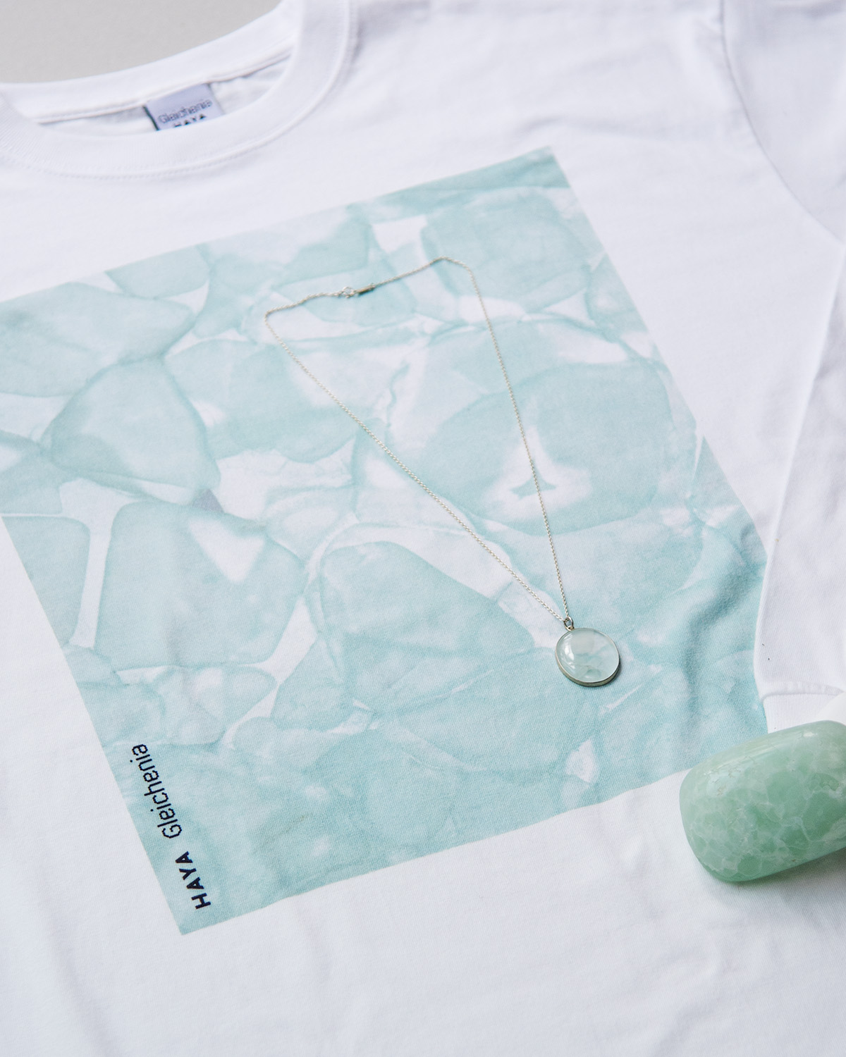 HAYA with Gleichenia